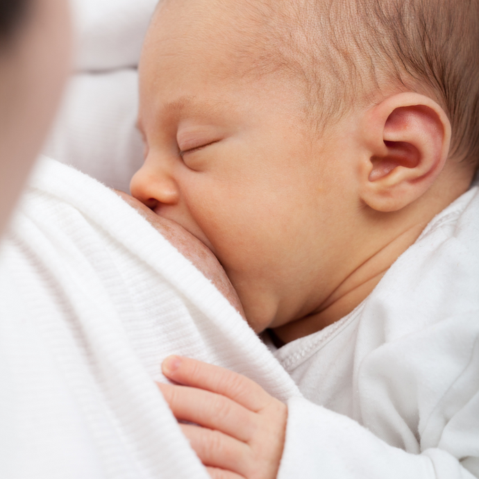 Los primeros meses de vida de tu bebé: claves para una lactancia materna exitosa
